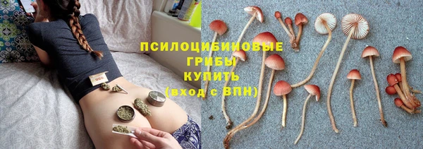 ECSTASY Алексеевка